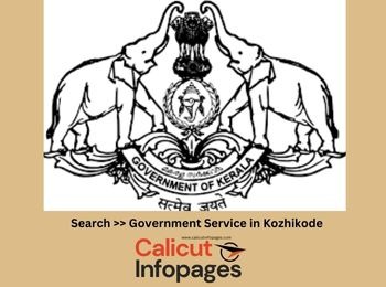 govt service
