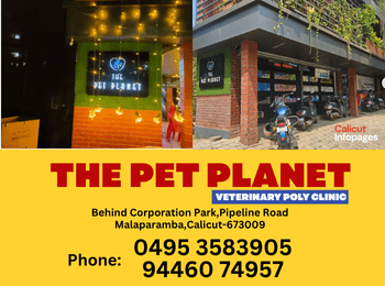 pet planet