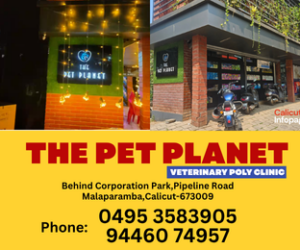 pet planet
